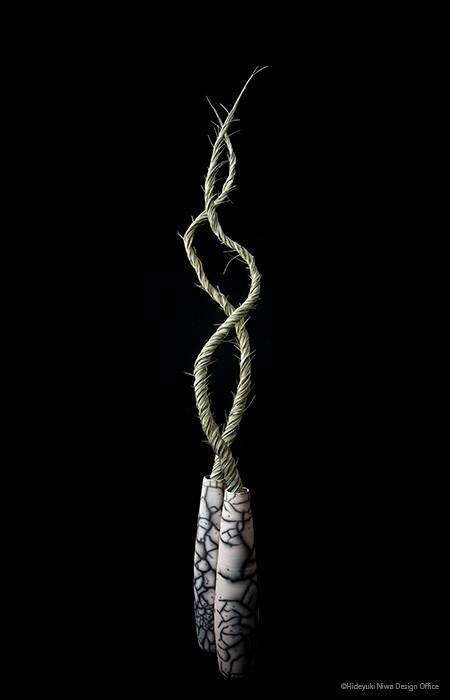 Power intersect 2012Tillandsia (450x700, 13Kb)