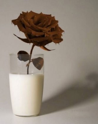 choco3 (332x420, 39Kb)