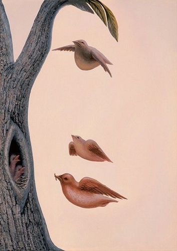 дерево птицы (353x500, 104Kb)
