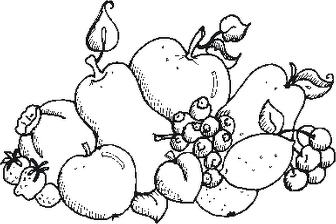 Frutas Legumes (675x449, 161Kb)