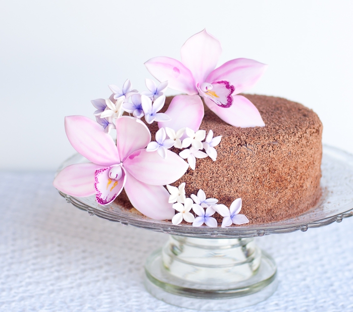 Орхидея из сахарной мастики для шоколадного торта с кокосовым кремом (8) (700x618, 239Kb)