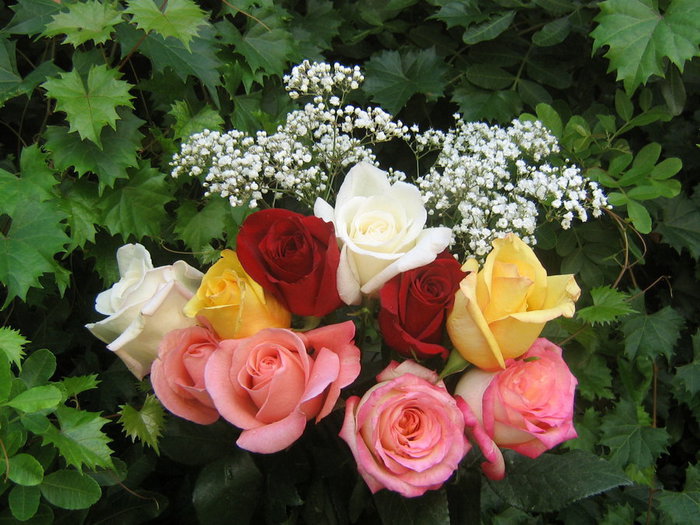roses_bouquet_3553 (700x525, 103Kb)