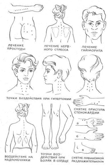 image (382x577, 68Kb)
