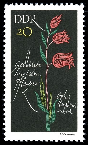 366px-Stamps_of_Germany_(DDR)_1966,_MiNr_1243 (366x599, 136Kb)