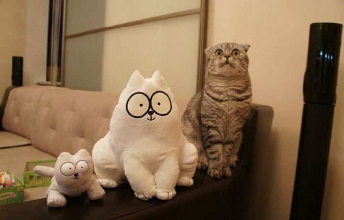 5107888_original (700x448, 33Kb)