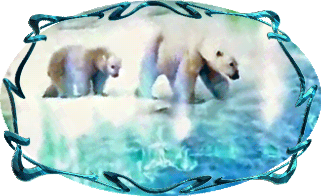 Белые-медведи-под-северным-сиянием---лучше-обработ (650x397, 2330Kb)