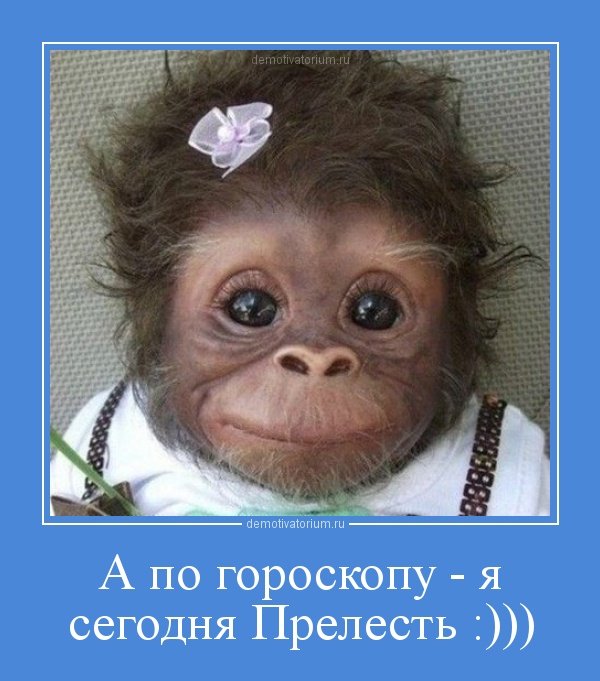 5402287_1355988622_19 (600x681, 71Kb)