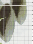  290460_49238_54306912_ue14dc (521x700, 332Kb)