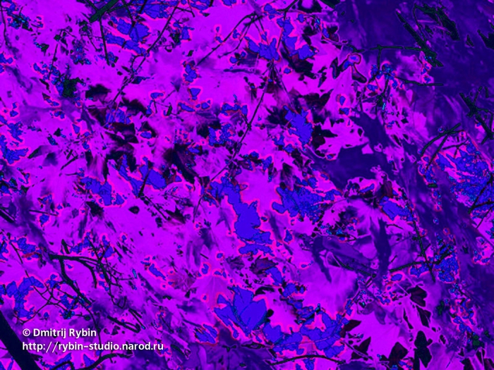  3  2014/5179278_072_web5 (700x525, 375Kb)