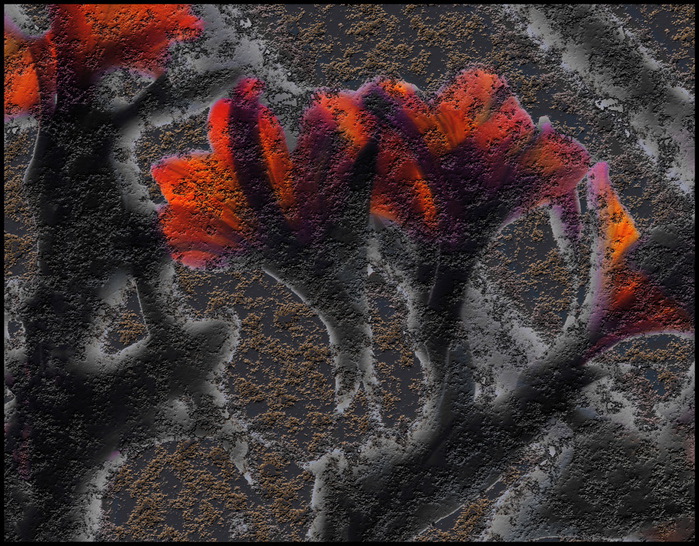 DF_III (700x546, 222Kb)