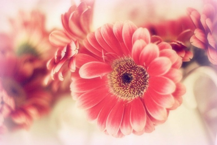 1391270325_5 (700x467, 69Kb)