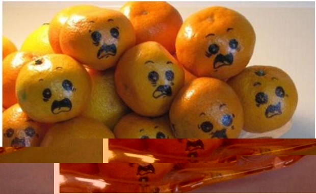      (620x381, 141Kb)