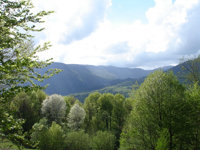 Karpaty-96- (640x480, 149Kb)