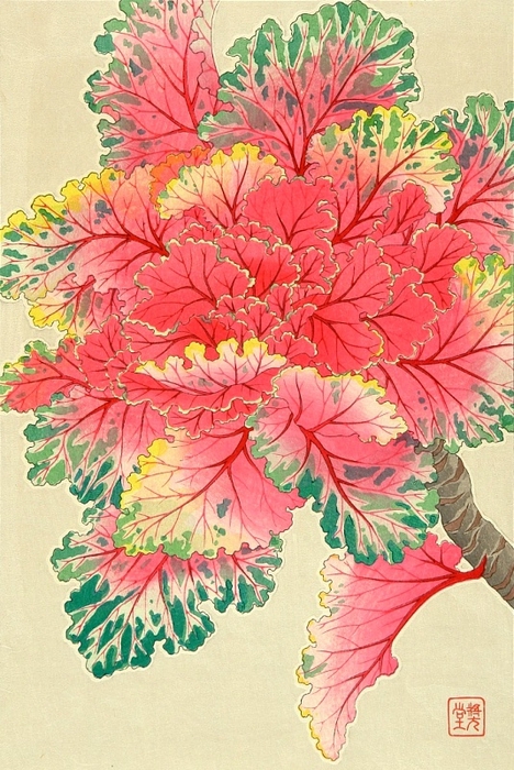 Shodo Kawarazaki 1889-1973 - Ornamental Kale. . 1950 (468x700, 321Kb)