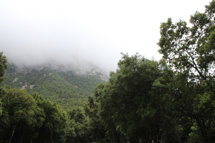 IMG_1438 (700x466, 185Kb)