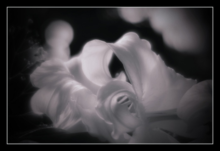 DF_IV (700x480, 40Kb)