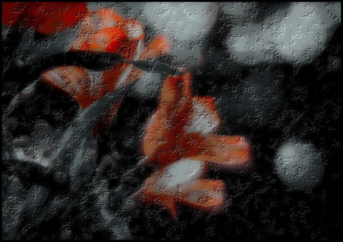DF_V (700x493, 155Kb)