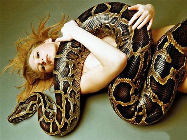 5402287_560ca45de582 (640x480, 86Kb)