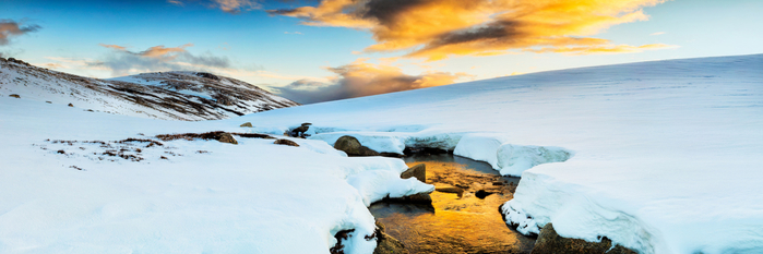 9793877535_e69f5ed226_h (700x233, 200Kb)
