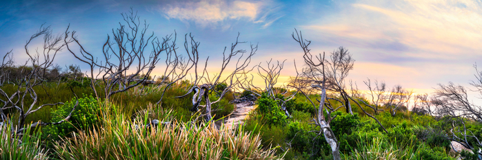 10620153235_990c29df19_h (700x233, 287Kb)