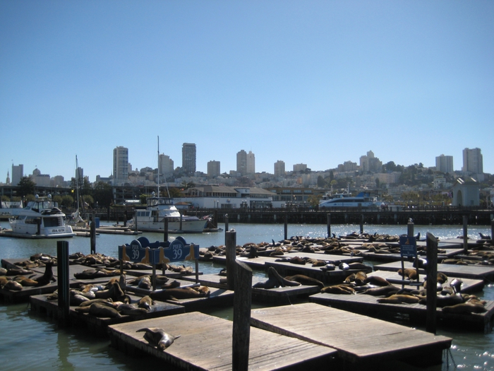 1/5562646_IMG_4362 (700x525, 252Kb)