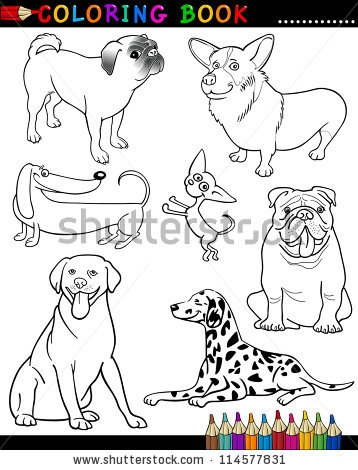 stock-vector-coloring-book-or-page-cartoon-illustration-of-funny-purebred-dogs-for-children-114577831 (358x470, 110Kb)