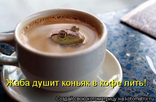 https://img0.liveinternet.ru/images/attach/c/10/109/855/109855942_km_2_2.jpg