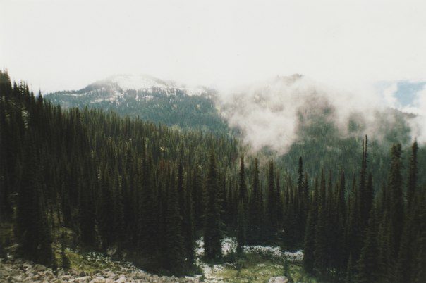 3470510_84tNBDSIk (604x402, 35Kb)