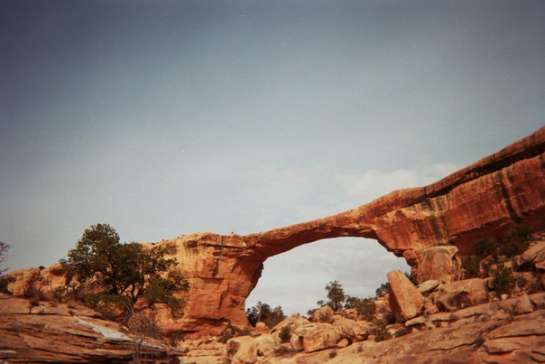 3470510_g2PMeeLsGQA (604x403, 47Kb)