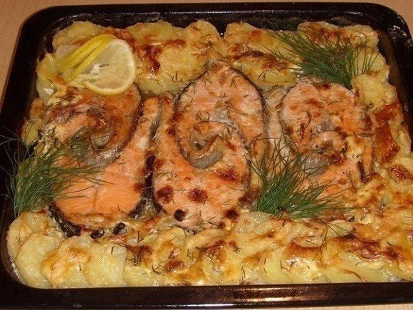 109816344_Forel_s (580x435, 92Kb)