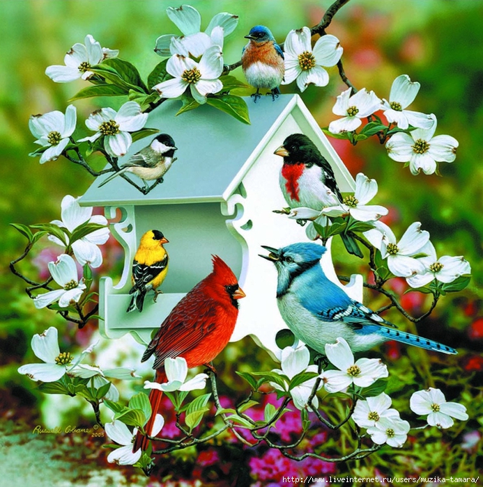 giclee-birdhouse-birds (693x700, 464Kb)