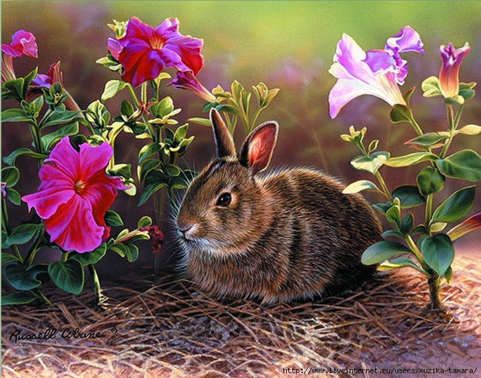 SOMEBUNNYS FLOWER GARDEN 8X10 (700x549, 406Kb)