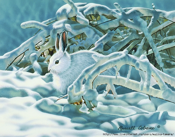 WINTER RABBIT 8X10 (700x547, 341Kb)