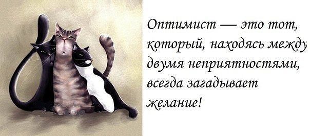   (604x266, 33Kb)