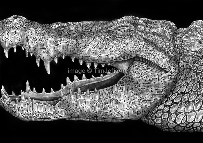 3623822_tj19 (700x494, 121Kb)