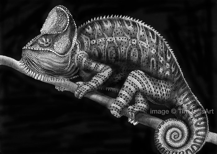 3623822_tj18 (700x497, 91Kb)