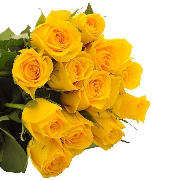 soulful_sunshine_FA3386_enlarge (553x582, 66Kb)