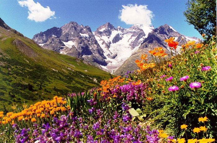original (700x462, 364Kb)