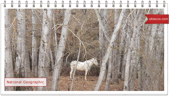 Лучшие фотографии недели от National Geographic 03.02.2014 -09.02.2014