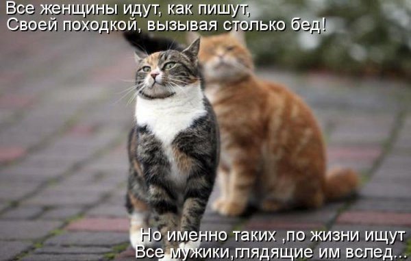   (600x381, 143Kb)