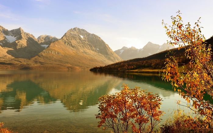ComputerDesktopWallpapersCollection858_025 (700x437, 259Kb)