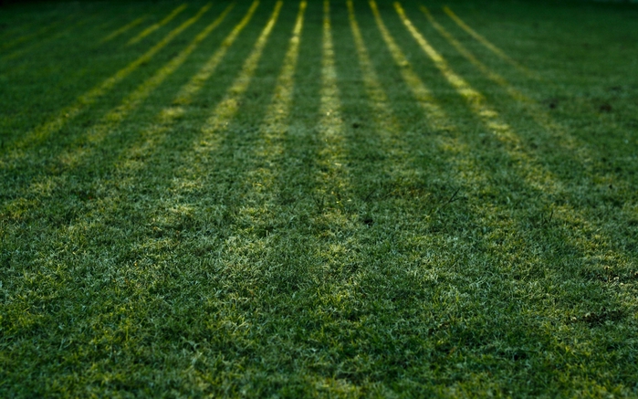 ComputerDesktopWallpapersCollection862_014 (700x437, 279Kb)