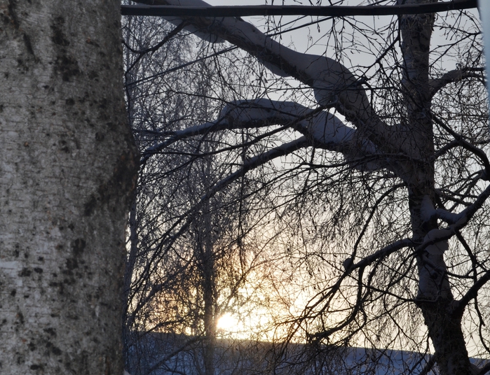 DSC_1258 (700x536, 366Kb)