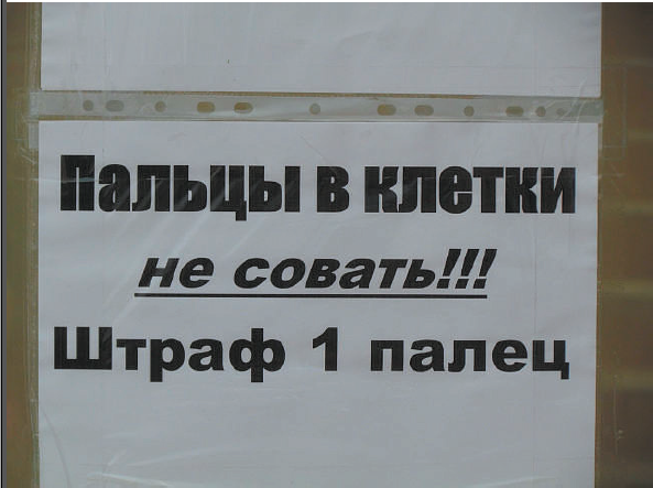 Зачем гинекологи суют пальцы. Объявление зоопарк. Пальцы в клетку не совать. Осторожно руки в клетки не совать. Не совать.