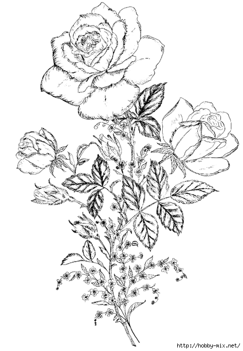 flowerdesign4 (484x700, 185Kb)