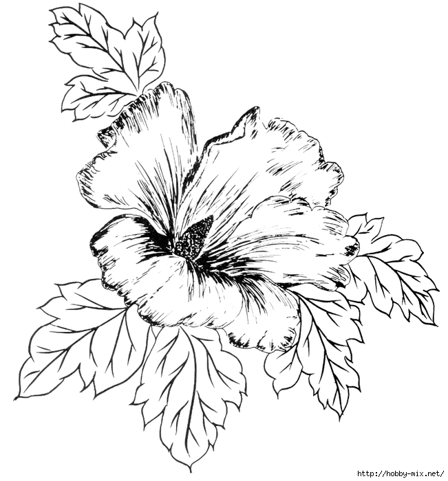 flowerdesigns1 (651x700, 202Kb)