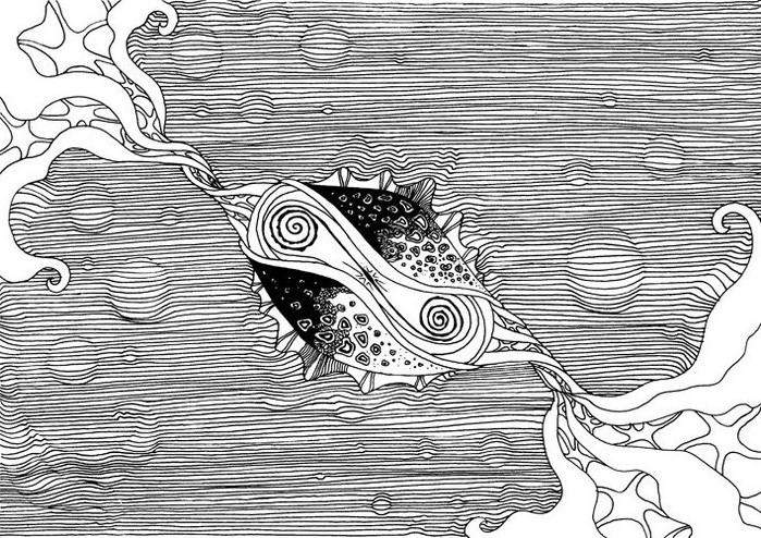 67600498_Rakushka_BW_kopiya (699x494, 192Kb)
