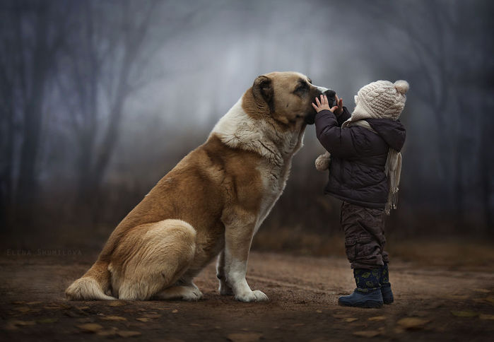   .   . shumilova (700x484, 41Kb)