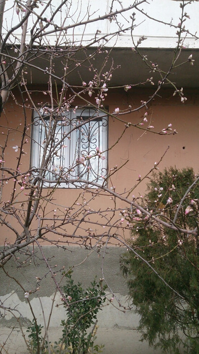 mms_img575417986 (393x700, 130Kb)