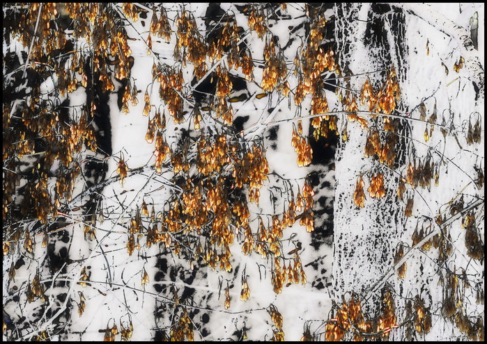 DF_IX (700x495, 237Kb)